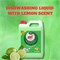 SAF Dishwash Liquid Lime Green 5л — эффективно удаляет жир, стойкий аромат свежего лайма, экономичный, идеально подходит для мытья посуды в тяжелых условиях 1000643