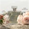 Romance by Ralph Lauren Eau De Parfum Spray для женщин 1,7 унции 1004130 Romance by Ralph Lauren Eau De Parfum Spray для женщин 1,7 унции 1004130