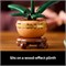 Мини-орхидея LEGO Botanicals - набор искусственных цветов для взрослых - комнатное растение с цветочным горшком в терракотовом стиле - домашний декор, подарок для женщин и мужчин - 10343 1000000222