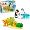 LEGO DUPLO Семьи диких животных: пингвины и львы Развивающая игрушка Монтессори для девочек и мальчиков от 2 лет, конструктор стимулирует творческую игру и помогает развивать мелкую моторику 10442 1000000369 - фото 503016