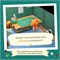 Animal Crossing: Новые горизонты / Переключить 1000001547