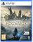 Warner Bros Interactive Entertainment UK Hogwarts Legacy PS5 (эксклюзивно на Amazon) 1000001607 - фото 506331