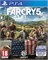 Ubisoft Far Cry 5 (PS4) PlayStation 4 1000001905 - фото 507678