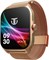 Умные часы Titan Zeal Premium Fashion | 1,85-дюймовый AMOLED-дисплей с AOD | Разрешение 390 * 450 пикселей | Функциональная заводная головка | Вызовы SingleSync BT | Расширенный чипсет | Более 100 спортивных режимов и циферблатов IP68 (сетчатый ремешок) 1000004042 - фото 517782