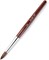 Кисть для дизайна ногтей KADS Kolinsky Sable Acrylic Nail Art Brush Red Wood Pen Brush для маникюрного инструмента (12#) 1000004950 - фото 521106