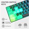 Игровая клавиатура CHONCHOW Mini RGB 60%, 68 клавиш, маленькая компактная USB-проводная игровая клавиатура с радужной подсветкой для Xbox PS4 PS5, ПК, ноутбука (с подсветкой букв, локальная) 1000008204