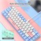 Игровая клавиатура OAKTEC с арабским и английским покрытием (60%), проводная механическая клавиатура с 68 клавишами и RGB-подсветкой, компактная мини-клавиатура для Windows/Mac, синие и красные переключатели (белый - синий переключатель) 1000008214