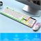 Комплект из клавиатуры и мыши для компьютерных игр SKY-TOUCH G21: клавиатура с гибкой полихромной светодиодной подсветкой, механическая, проводная, USB, рабочая, комплект для компьютеров на базе Windows (белый) 1000008236