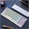 Беспроводная механическая игровая клавиатура Bewinner RGB, 87 клавиш со светодиодной подсветкой, аккумулятором, USB-приемником 2,4 ГГц, эргономичная компактная клавиатура для ПК-геймеров (белая) 1000008391