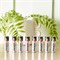 Home Box Energizer 8-Piece Max Aa Alkaline Battery Multicolor 1000008590 - фото 534776