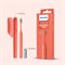 Зубная щетка Philips на батарейках от Sonicare | 2 минуты Smartimer и Quadpacer | Элегантная и легкая | Дорожный футляр | Зубная щетка на батарейках | Мягкая щетина | 90 дней работы от одной батарейки AAA | Miami Coral | HY1100/01 1000009275