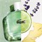 Lacoste L.12.12 Blanc Eau Fraiche Духи для мужчин Туалетная вода 100 мл 1000010296