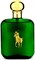 Polo Green от Ralph Lauren для мужчин — туалетная вода, 118 мл 1000010331 - фото 541284