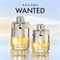 Azzaro Wanted - духи для мужчин, 100 мл - EDT Spray 1000010474