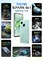 TECNO SPARK Go 1 KL 4 64 ГБ ПЗУ и 3 ГБ ОЗУ — MAGIC SKIN GREEN | Аккумулятор 5000 мА·ч | Слот для карты памяти | Основная камера 13 МП | Фронтальная камера 8 МП 1000012684