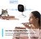 Умная камера безопасности TP-Link Tapo Mini (Tapo C100) 1000014393