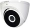 DAHUA-2MP HDCVI ИК-камера для глазного яблока-HAC-T2A21 1000014596 - фото 559478