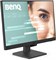 Игровой монитор BenQ GW2490 100 Гц, 24 дюйма, Full HD 1920x1080p | IPS | Технология защиты зрения | Снижение уровня синего света | Антибликовое покрытие | Адаптивная яркость | Встроенные динамики | DisplayPort | HDMI x 2 1000021548