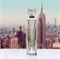 Парфюмированная вода Elizabeth Arden My 5th Avenue для женщин, 50 мл. 1000021805
