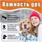 GPS трекер с ошейником для домашних животных, предупреждение о пропаже сигнала, встроенная SIM карта, специальное приложение и бесплатная помощь специалистов. 1000024794