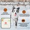 GPS трекер с ошейником для домашних животных, предупреждение о пропаже сигнала, встроенная SIM карта, специальное приложение и бесплатная помощь специалистов. 1000024794