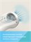 Бутылочка для кормления младенцев от Canpol babies с нижним клапаном S-Shape вместимостью 300 мл, предназначенная для предотвращения коликов 1000026206