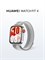 HUAWEI WATCH FIT 4 в сером цвете 1000026342
