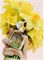 Парфюмерная вода Marc Jacobs Perfect by Marc Jacobs, спрей, 95 мл, для женщин 1000028932