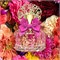 Духи-спрей для женщин Vince Camuto Floreale Eau de Parfum, 3,4 эт. унция 1000028937