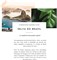 Selva Do Brazil от Berdoues Eau De Parfum Spray 3,38 унции для женщин 1000028970