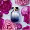 Kate Spade New York - Sparkle Eau De Parfum Intense - Женский аромат - Теплый и цветочный - С нотами черной смородины, пиона и ванили - 3,3 жидких унции 1000029165