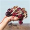 Dolce & Gabbana Q by Dolce & Gabbana парфюмированная вода для женщин 50 мл 1000029259
