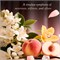 Парфюмерная вода Frais Et Frais Blush Bloom, 100 мл - насыщенный восточный аромат для женщин с нотками персика, иланг-иланга и пачули 1000029483