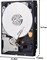 Жесткий диск WD Blue 500 ГБ для настольных компьютеров - 7200 об/мин, SATA, 6 Гбит/с, 16 МБ кэш-памяти, 3,5 дюйма - WD5000AAKX 1000030034