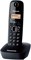 Черный Panasonic DECT KX-TG1611PDH - это модель Panasonic KX-TG1611PDH 1000032105