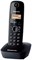 Черный Panasonic DECT KX-TG1611PDH - это модель Panasonic KX-TG1611PDH 1000032105