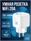 Мощная умная розетка WiFi с Алисой и таймером на 20А 1000032283