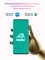 Умная розетка Wi-fi с поддержкой голосовых помощников Алиса и Google, а также функцией таймера от Camelion и возможностью управления через приложение Маруся 1000032382