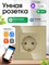 Встроенная умная розетка с WiFi, под названием FUJIHOME TW-WF1F-BK(CS), совместима с голосовым помощником Алиса и приложением Smartlife. Она также оснащена функцией мониторинга энергопотребления, таймером и имеет золотой цвет 1000032412