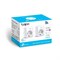 Набор из двух умных розеток TP-Link Tapo P100 1000032456