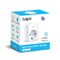 Одиночная умная розетка TP-Link Tapo P100 1000032457