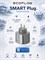 Розетка EcoFlow Smart Plug - интеллектуальное устройство для энергосбережения 1000032512