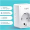 Набор из двух умных мини Wi-Fi розеток TP-Link Tapo P110 1000032525