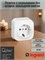 Белая накладная розетка с заземлением Legrand Quteo без шторок IP20, предназначенная для напряжения 250В и тока до 16А, оснащена винтовыми зажимами 1000032677