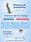 Портативный ирригатор для полости рта, 3 режима, 4 насадки, IPX7 влагозащита, 220 мл 1000033207
