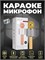 WS-858 - это караоке колонка с микрофоном, оснащенным блютузом. Она имеет 4 различных стиля голоса и способна работать до 5 часов. Цвет - золото 1000033882