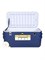 100-литровый термоконтейнер от компании Camping World, называется Thermobox 1000034436