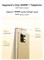 realme 16 Pro+ 5G Dual SIM 12GB RAM 512GB Master Gold - Международная версия 1000035220