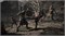 PS5 SW Resonance: A Plague Tale Legacy 1000036614