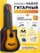 В комплекте с акустической гитарой DAVINCI DF-100C SB PACK идет 11 предметов 1000037836